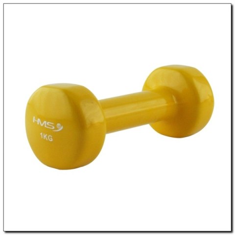 HANTLA WINYLOWA 17030 1,0KG /HMS