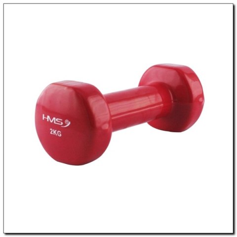 HANTLA WINYLOWA 17030 2,0KG /HMS