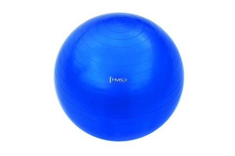 PIŁKA DO ĆWICZEŃ FITNESS YB01 65CM /HMS