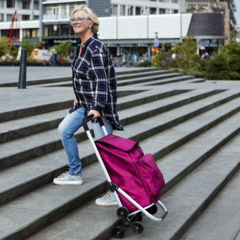 WÓZEK ZAKUPOWY EXPERT PREMIUM DO POKONYWANIA SCHODÓW /CRUISER