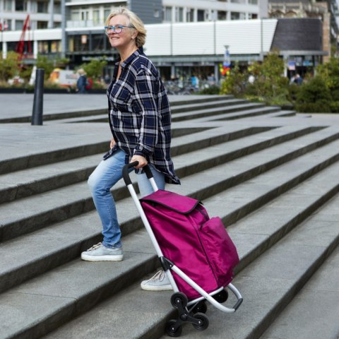 WÓZEK ZAKUPOWY DO POKONYWANIA SCHODÓW EXPERT PREMIUM /CRUISER