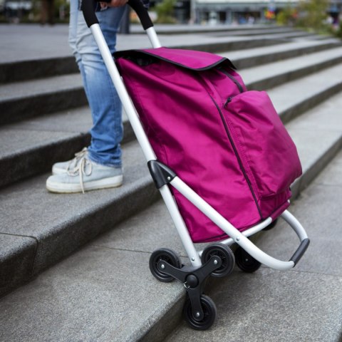 WÓZEK ZAKUPOWY DO POKONYWANIA SCHODÓW EXPERT PREMIUM /CRUISER