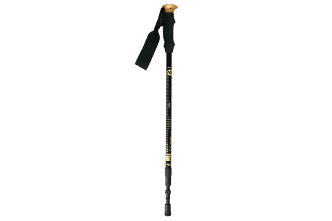 KIJE TREKKING-NORDIC WALKING NW-TK19 50% CARBON /NILS