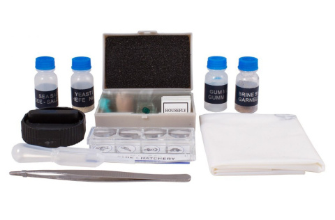 ZESTAW DO EKSPERYMENTÓW K50 /LEVENHUK