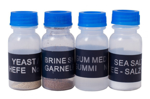 ZESTAW DO EKSPERYMENTÓW K50 /LEVENHUK