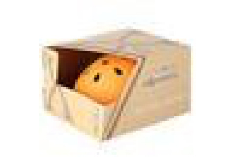 KASK SKATEBOARDOWY MTV12-O ROZM. L (58-61) /NILS