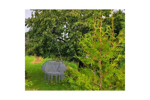 FOTEL WISZĄCY S1026954 80X60CM /SASKA GARDEN