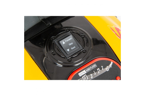 MOTOR ELEKTRYCZNY AVALON ŻÓŁT. /ENERO MOTOR ELEKTRYCZNY AVALON ŻÓŁT. /ENERO