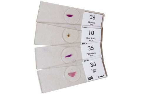 ZESTAW PREPARATÓW N80 NG /LEVENHUK