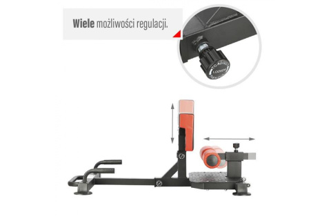 ŁAWECZKA DO ĆWICZEŃ SISSY SQUAT LSS01 /HMS