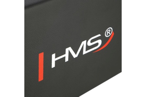 ŁAWECZKA DO ĆWICZEŃ SISSY SQUAT LSS01 /HMS