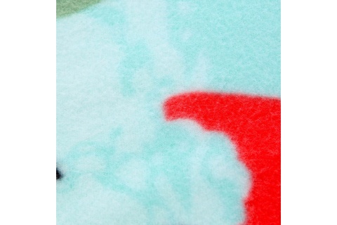 KOC PIKNIKOWY NC2312 ARBUZY 220X200CM /NILS