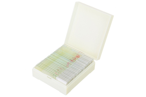 MIKROPREPARATY PROF DPS 25 BIOLOGIA, PTAKI /DISCOVERY