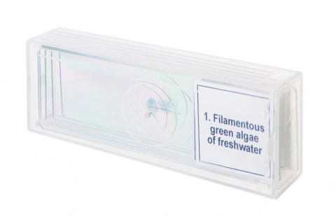 MIKROPREPARATY PROF DPS 5 BIOLOGIA /DISCOVERY