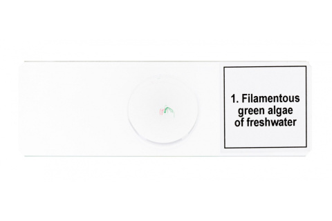 MIKROPREPARATY PROF DPS 5 BIOLOGIA /DISCOVERY