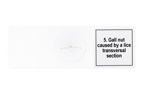 MIKROPREPARATY PROF DPS 5 MUTACJE /DISCOVERY