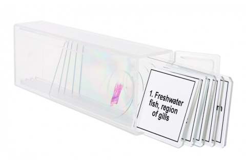 MIKROPREPARATY PROF DPS 5 PŁAZY /DISCOVERY