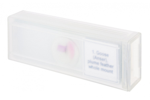 MIKROPREPARATY PROF DPS 5 PTAKI /DISCOVERY