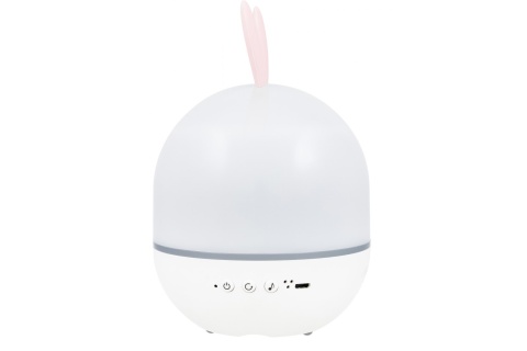 PLANETARIUM STAR SKY P1 /LEVENHUK