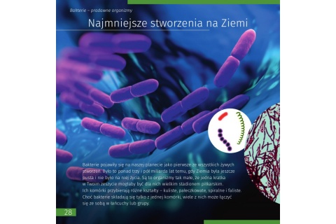 SKARBNICA WIEDZY NIEWIDOCZNY ŚWIAT /LEVENHUK