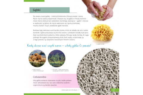 SKARBNICA WIEDZY NIEWIDOCZNY ŚWIAT /LEVENHUK