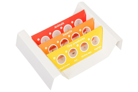 ZESTAW 12 PREPARATÓW FAUNA /DISCOVERY