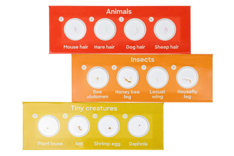 ZESTAW 12 PREPARATÓW FAUNA /DISCOVERY