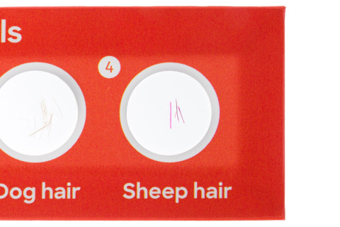 ZESTAW 12 PREPARATÓW FAUNA /DISCOVERY