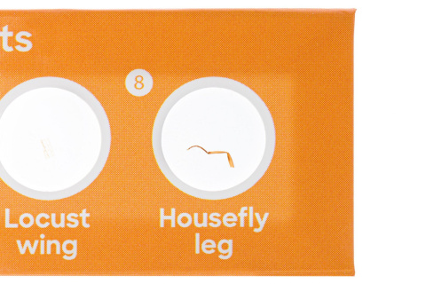 ZESTAW 12 PREPARATÓW FAUNA /DISCOVERY