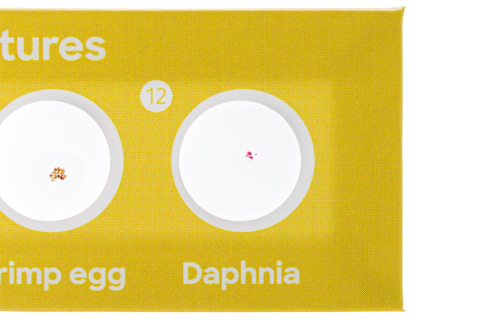 ZESTAW 12 PREPARATÓW FAUNA /DISCOVERY