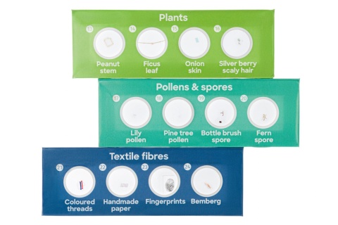 ZESTAW 12 PREPARATÓW FLORA /DISCOVERY