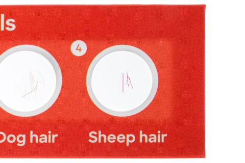 ZESTAW 24 PREPARATÓW FLORA I FAUNA /DISCOVERY