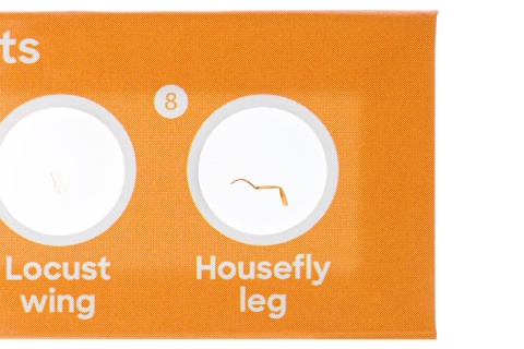 ZESTAW 24 PREPARATÓW FLORA I FAUNA /DISCOVERY