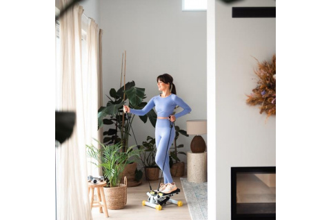 STEPPER SKRĘTNY S3033 /HMS