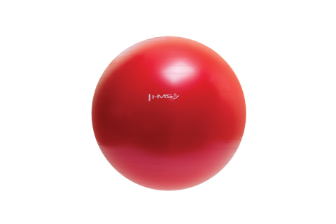 PIŁKA DO ĆWICZEŃ FITNESS YB01 65CM /HMS