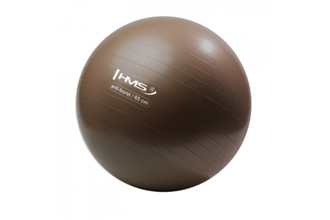 PIŁKA DO ĆWICZEŃ FITNESS YB02 65CM /HMS