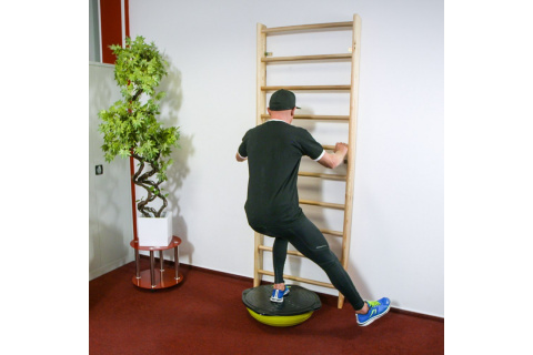 DRABINKA GIMNASTYCZNA DREMAR 250x90CM /INSPORTLINE