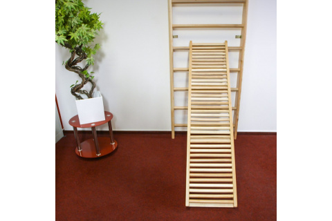 DRABINKA GIMNASTYCZNA DREMAR 250x90CM /INSPORTLINE