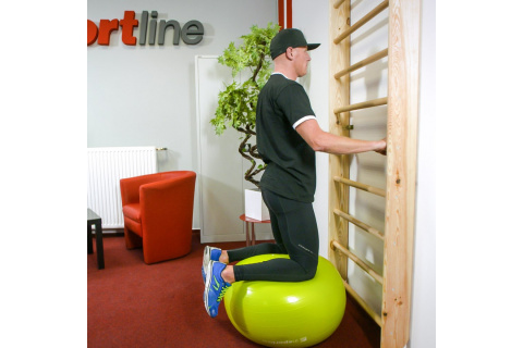 DRABINKA GIMNASTYCZNA DREMAR 250x90CM /INSPORTLINE