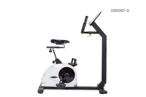 ROWER PIONOWY BODY TRAINER LED /BODY CHARGER FITNESS