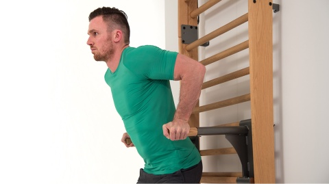 MULTIADAPTER DO DRABINEK WALLBARS OXBRIDGE WIŚNIA /NOHRD