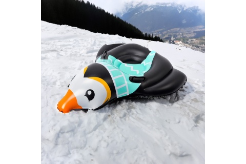 ŚLIZG ŚNIEŻNY PENGUIN CZARNY/MIĘTOWY /METEOER