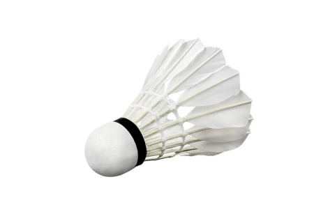 LOTKI Z PIÓR S505-12 12SZT BIAŁ. /WISH