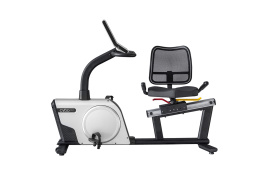 ROWER POZIOMY R3000 /CYBO