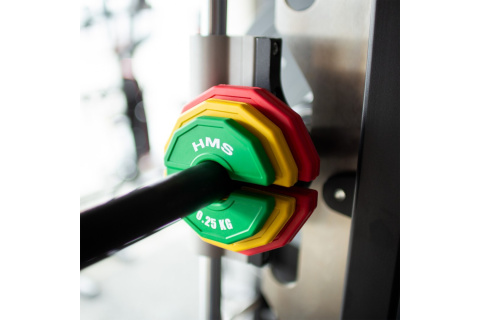 TALERZ NA SPRZĘT DO TRENINGU SIŁOWEGO I FITNESS TYPU NAKŁADKA 2 X 0.5 KG TSN50 /HMS