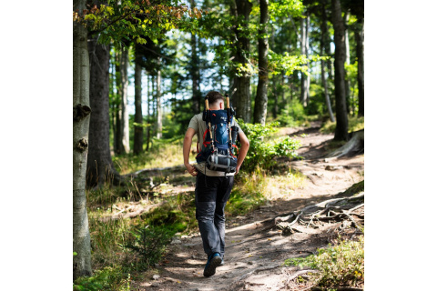 PLECAK TURYSTYCZNY GRANATOWY NORTHLAKE 30L+10 /NILS CAMP