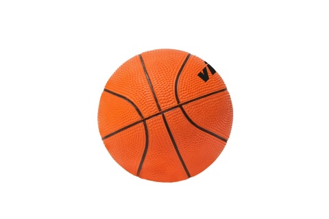 TABLICA DO KOSZYKÓWKI PRO MINI Z 2 PIŁKAMI I POMPKĄ /VIRTUFIT