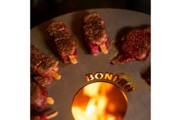 PLANCHA V34 DO BONVES 34 /BONFEU