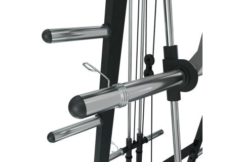 SUWNICA SMITHA Z WYCIĄGAMI SM100 /VIRTUFIT