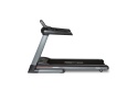 BIEŻNIA ELEKTRYCZNA RUNNER DTM2500 /FLOW FITNESS